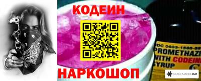 бошки Кингисепп