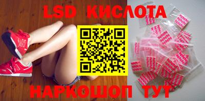 бошки Кингисепп