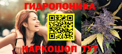 МДПВ Кимры